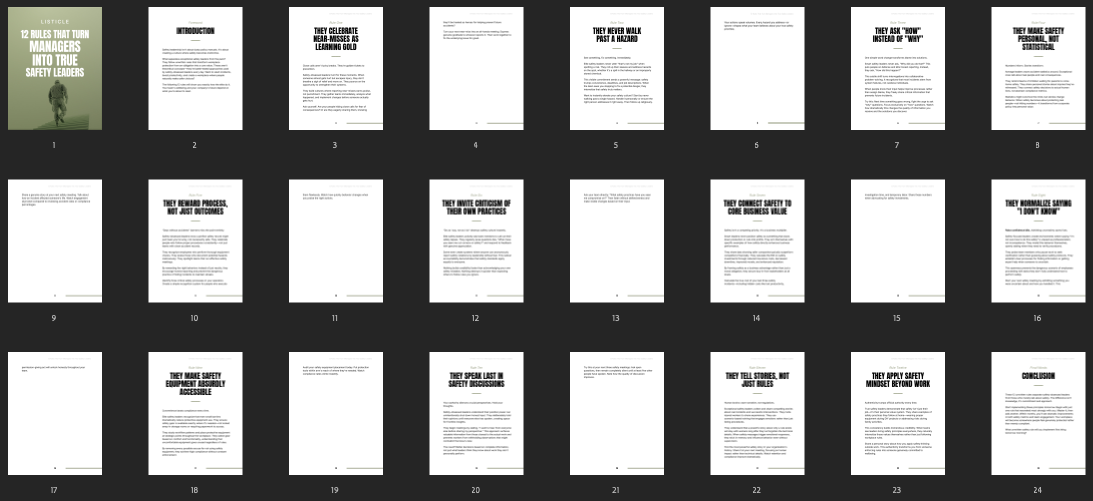 All pages overview – 12 Rules Safety Leaders