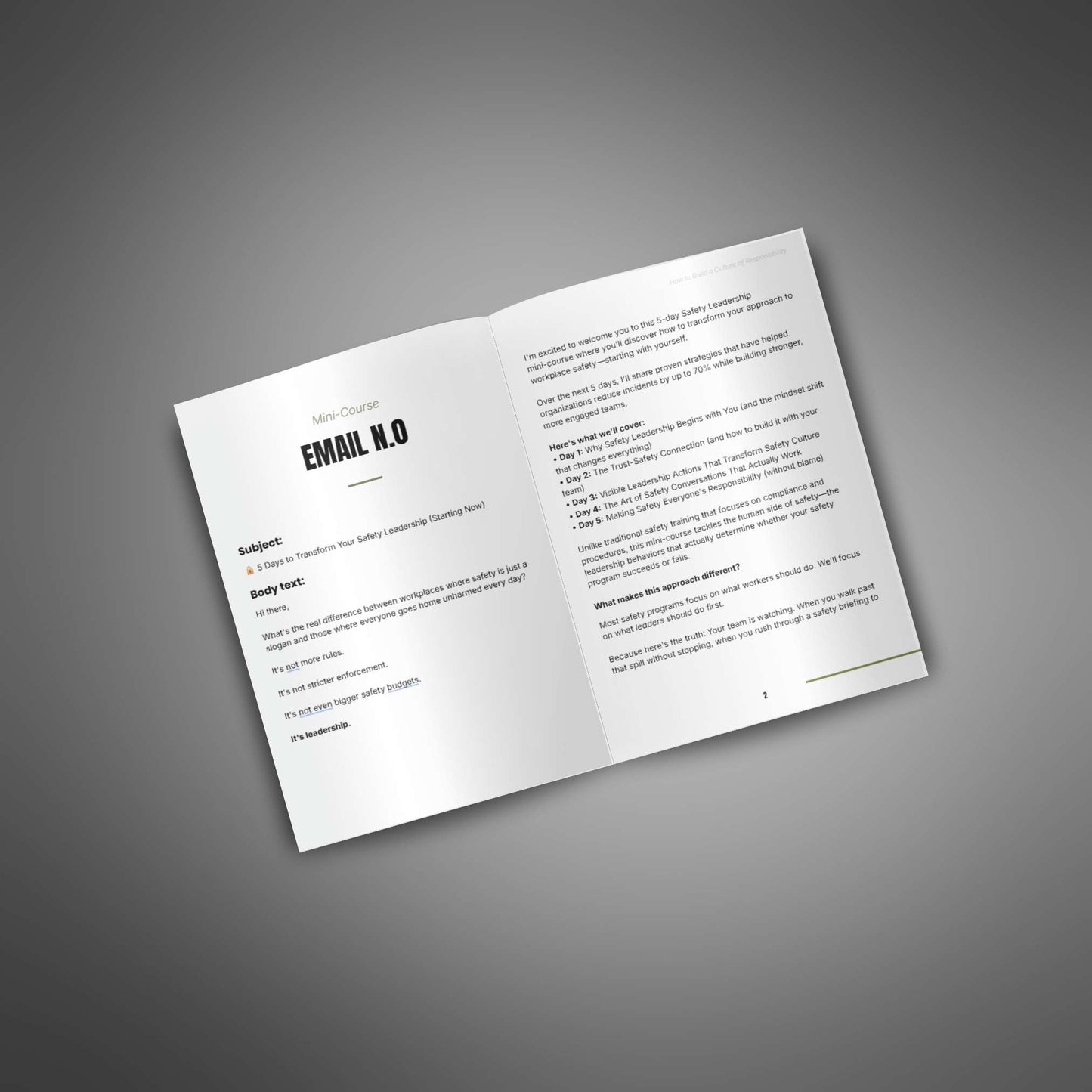 How to Build a Culture of Responsibility – Safety Leadership Email Mini‑Course (31 Pages)