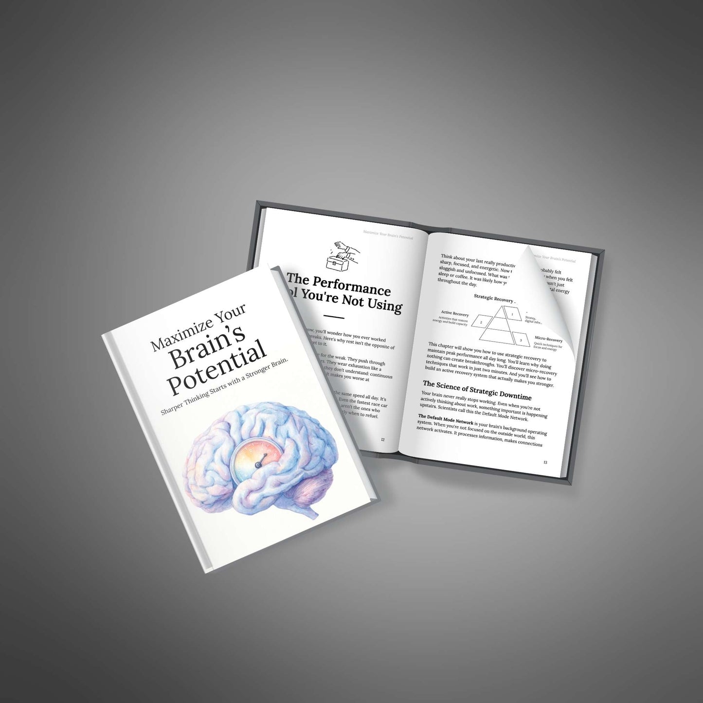 Maximize Your Brain’s Potential — book + pages