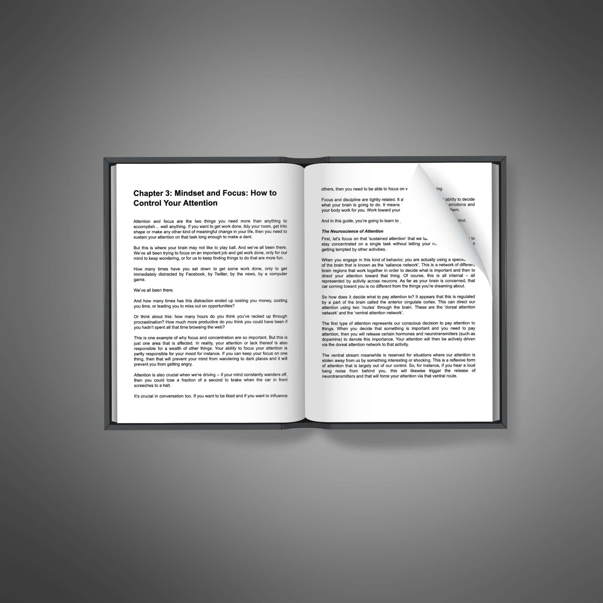 Mighty Mind Ebook • Master Your Mindset & Productivity • Resell Rights • 71-Page Personal Development Guide, Focus & Motivation Tools