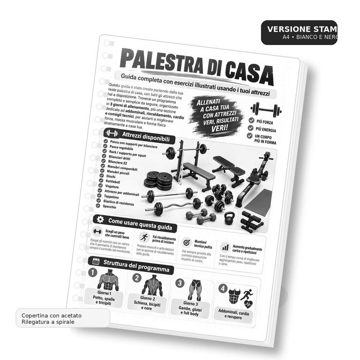 Palestra di Casa – Guida Completa Allenamento con Esercizi Illustrati PDF