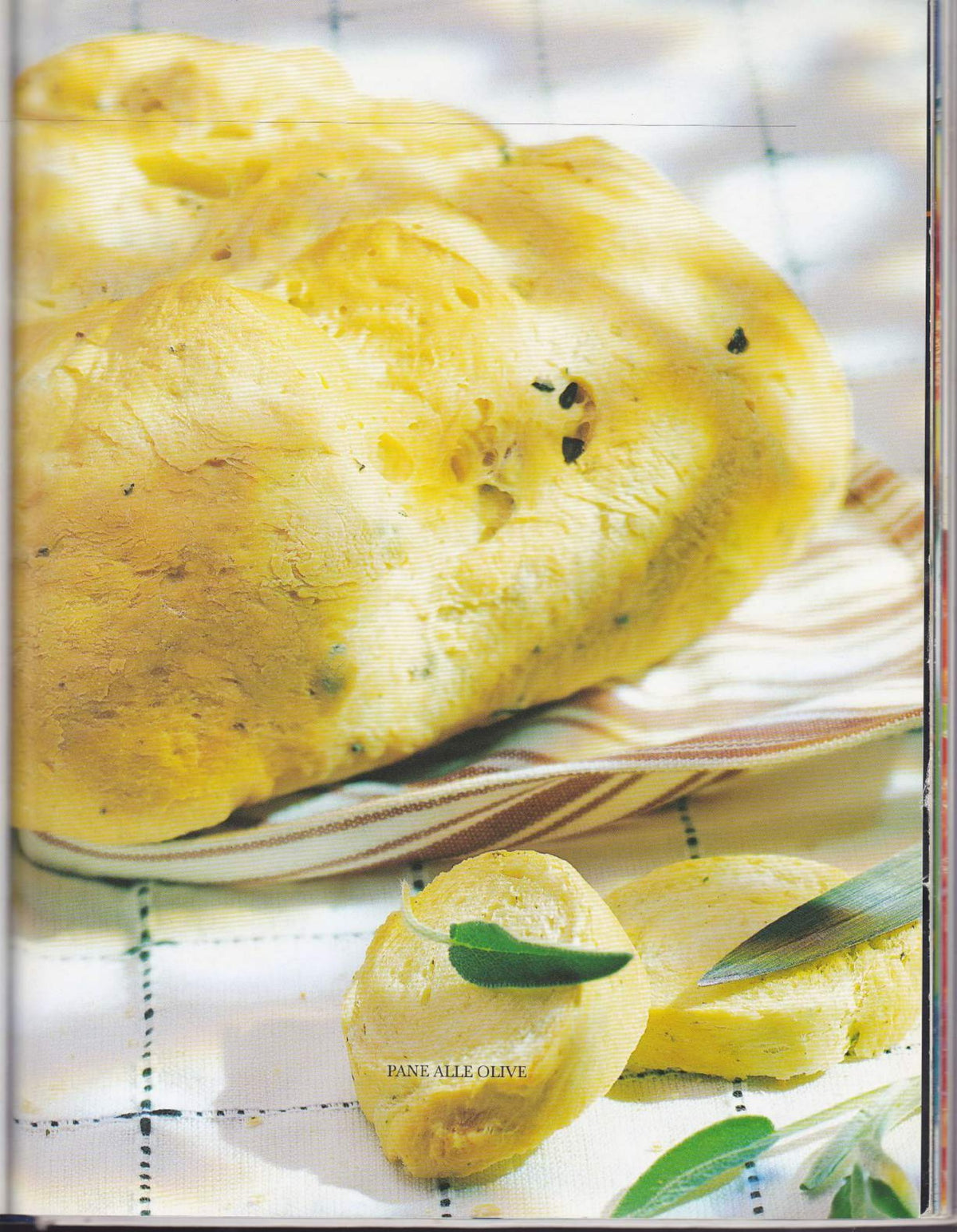 Alla Scoperta di Bimby TM21 - Ricettario Italiano PDF 137 Pagine