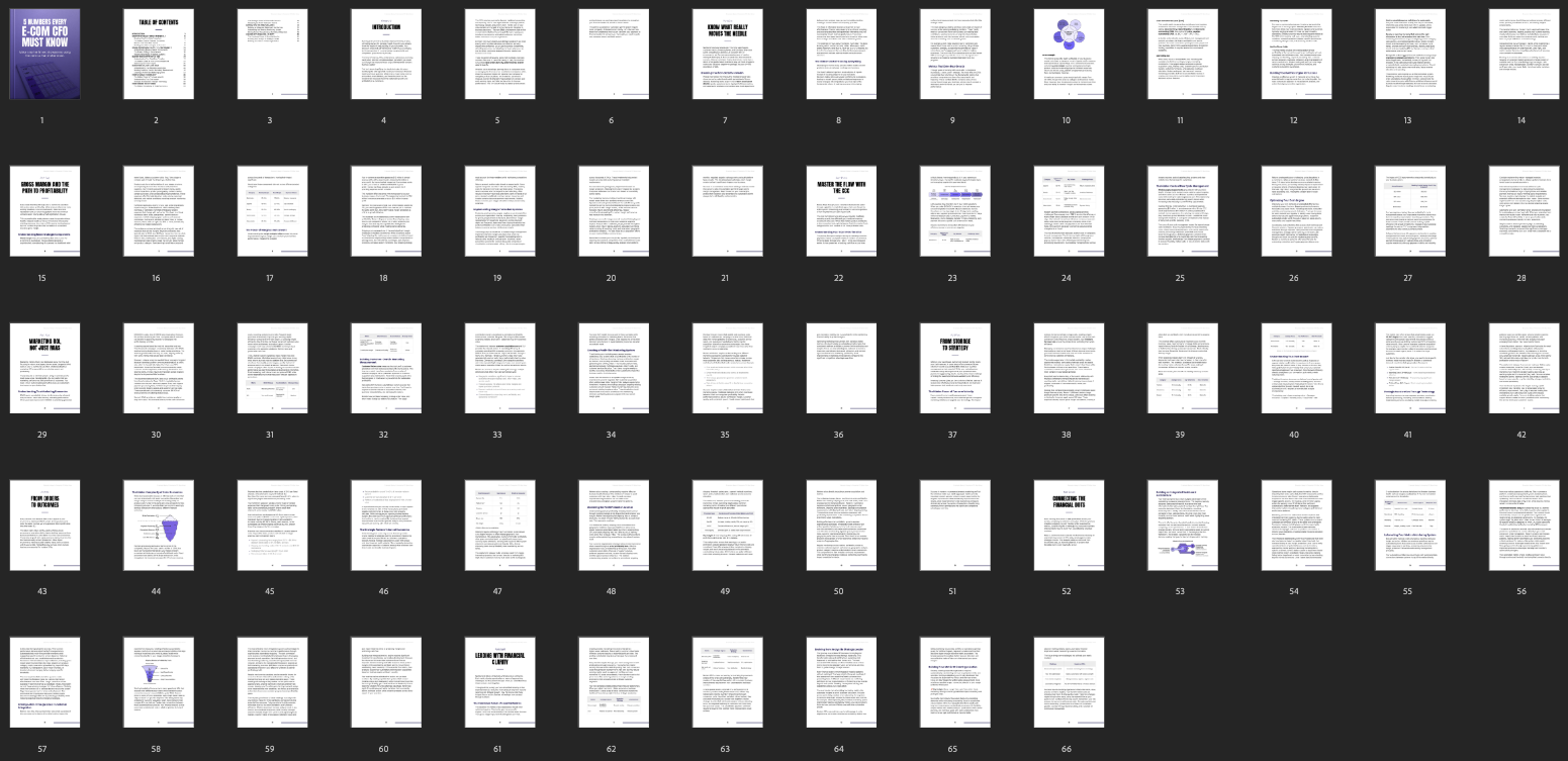 5 Numbers Every E-Commerce CFO Must Know (PDF) - KPIs, Cash Flow, Profit