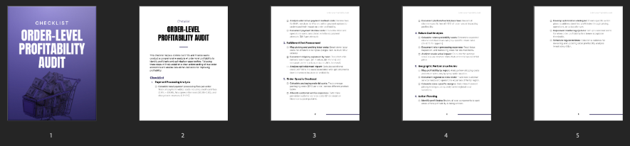 Order-Level Profitability Audit (PDF) – Find Hidden Costs, Raise Margin