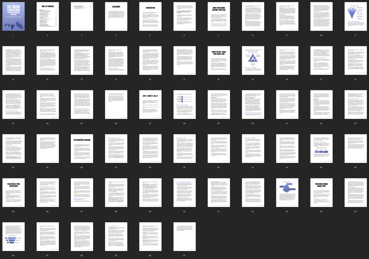 Brand Evolution System page thumbnails