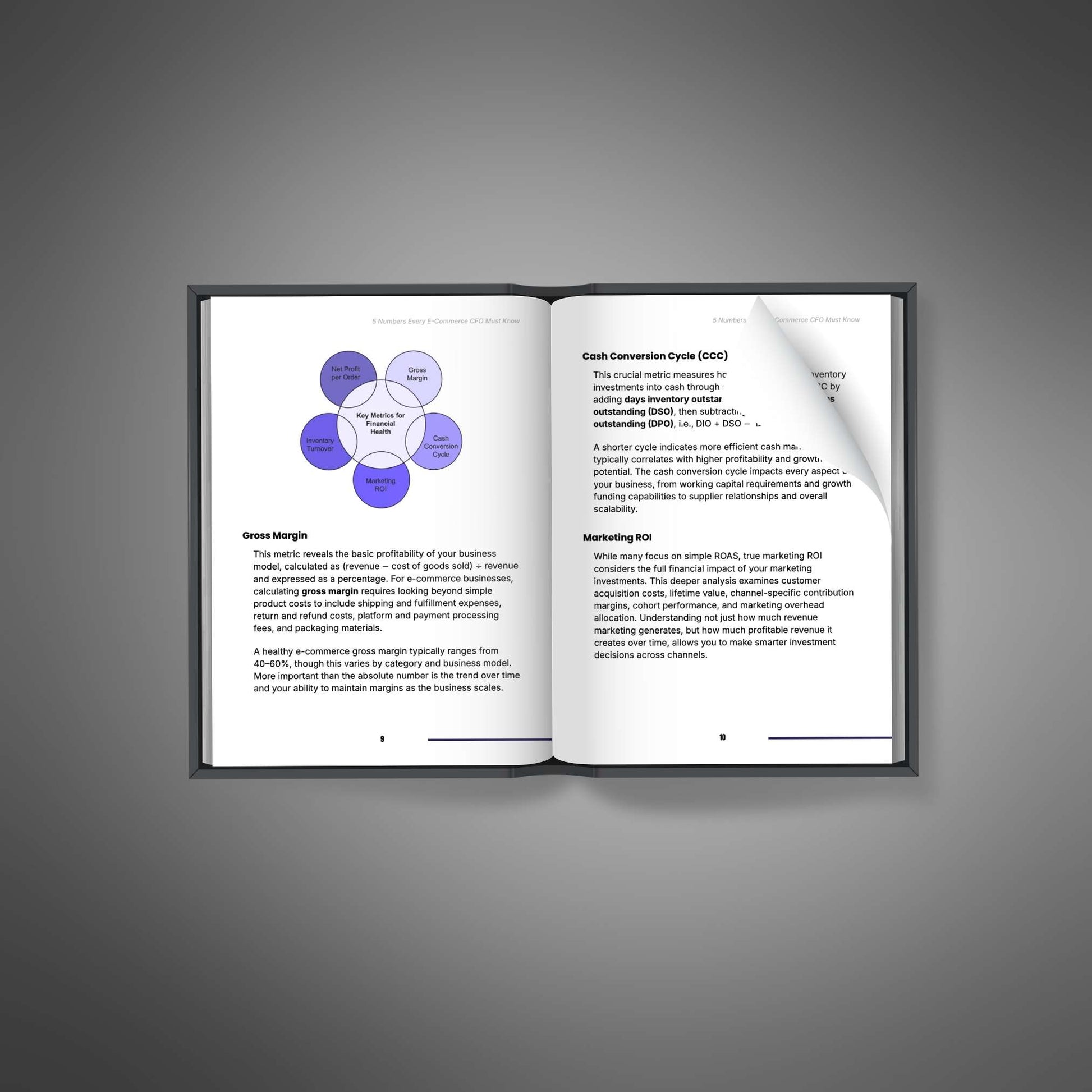E-commerce finance ebook page preview spread