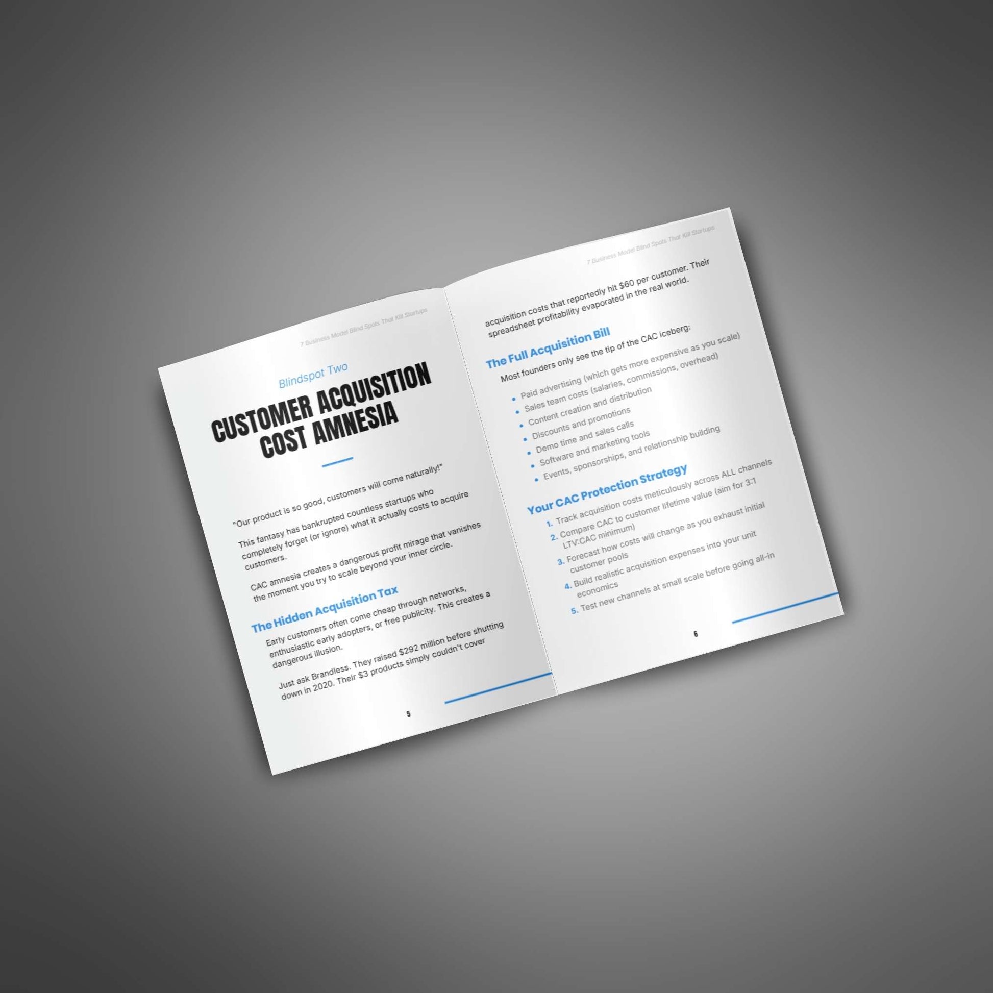 7 Business Model Blind Spots open pages