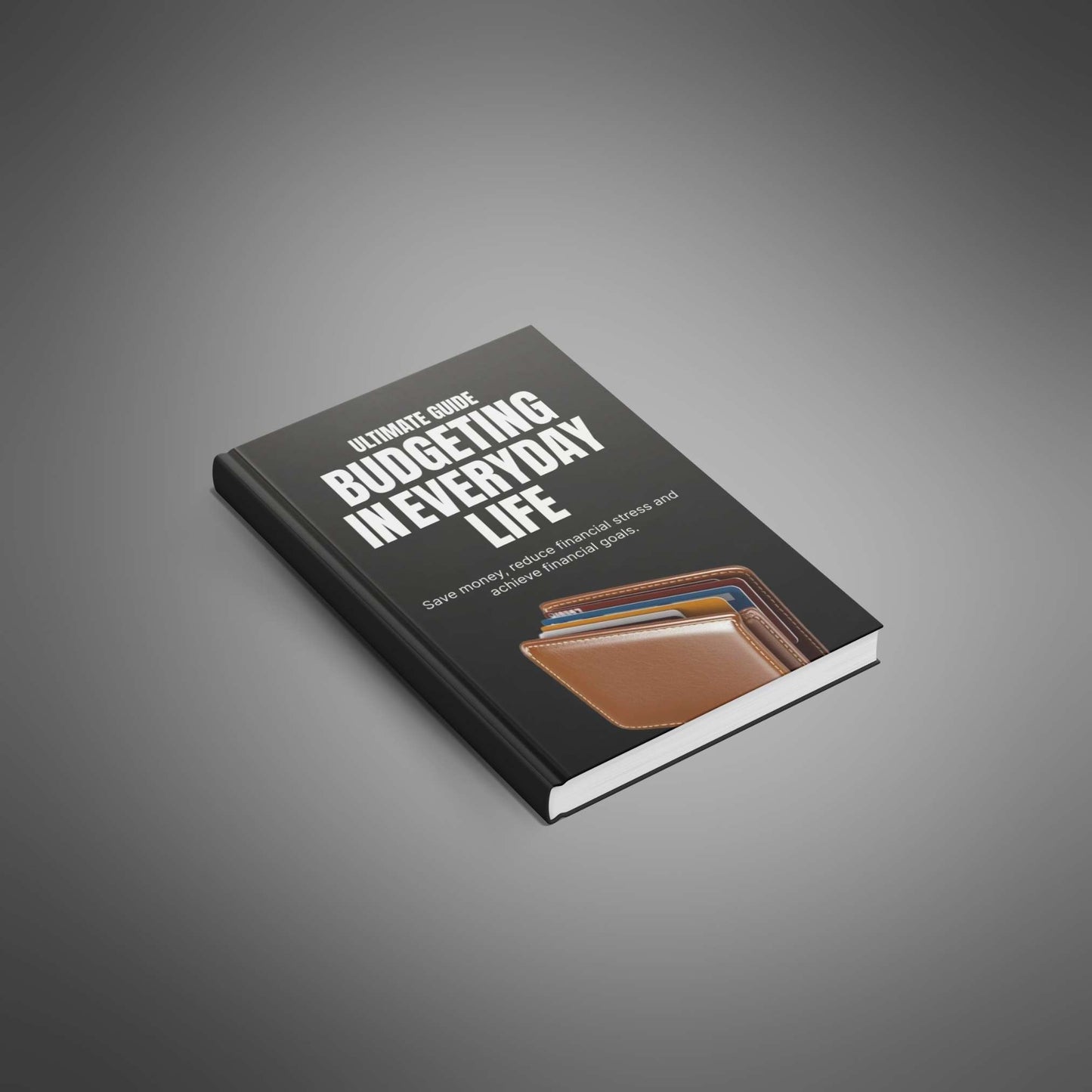 Budgeting in Everyday Life Ebook image 1