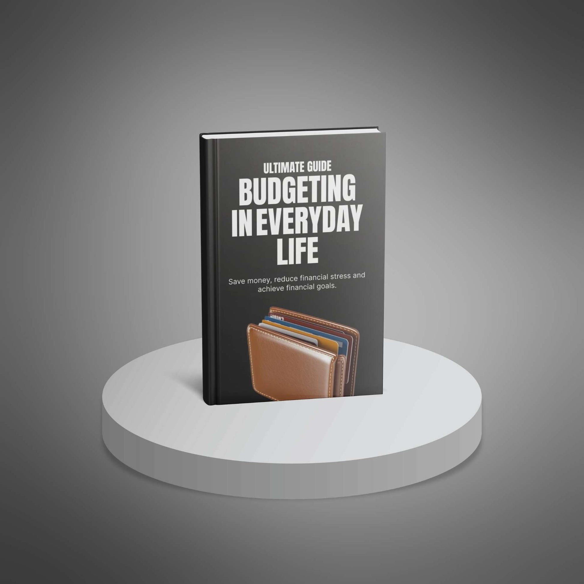 Budgeting in Everyday Life Ebook image 3