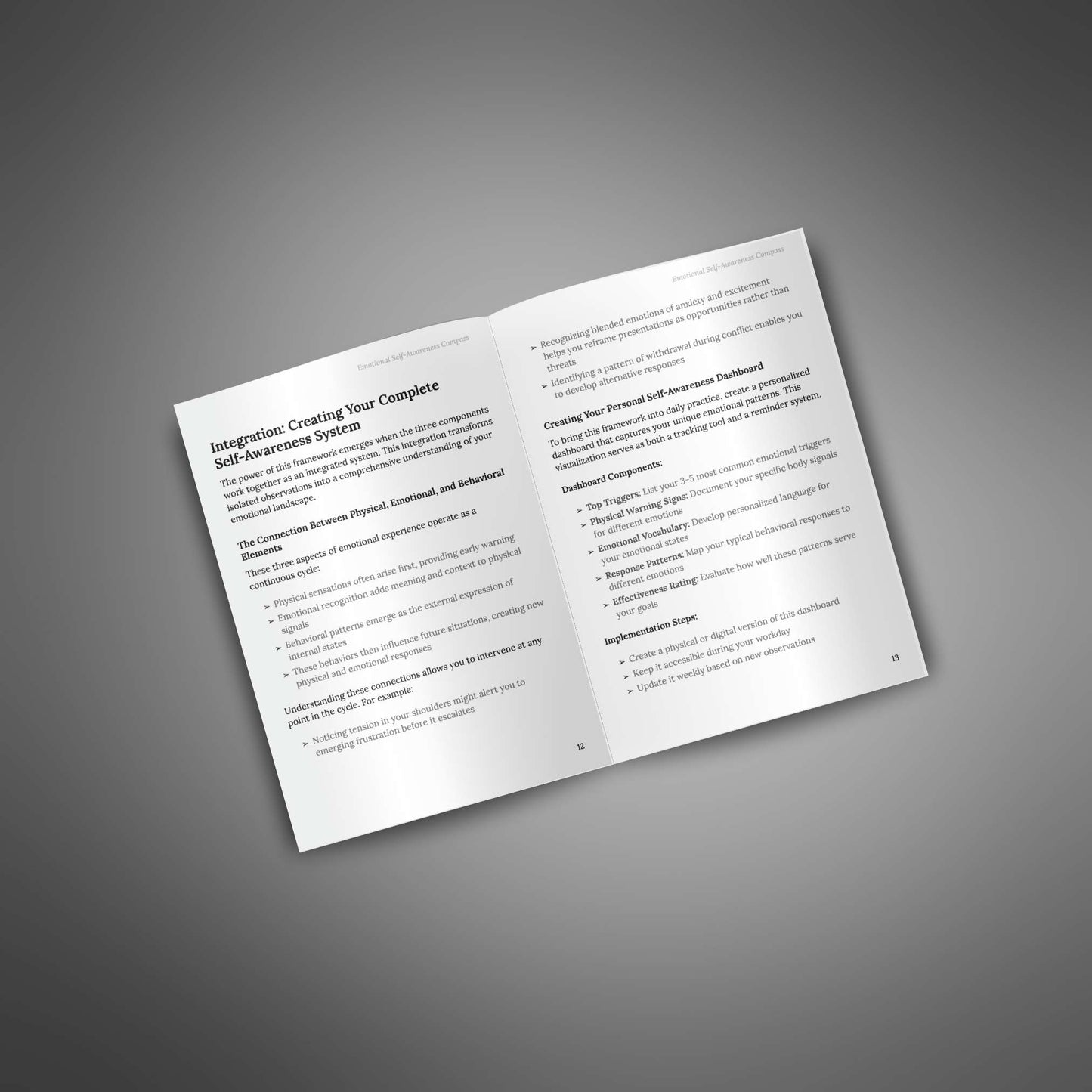 Open spread showing self‑awareness system