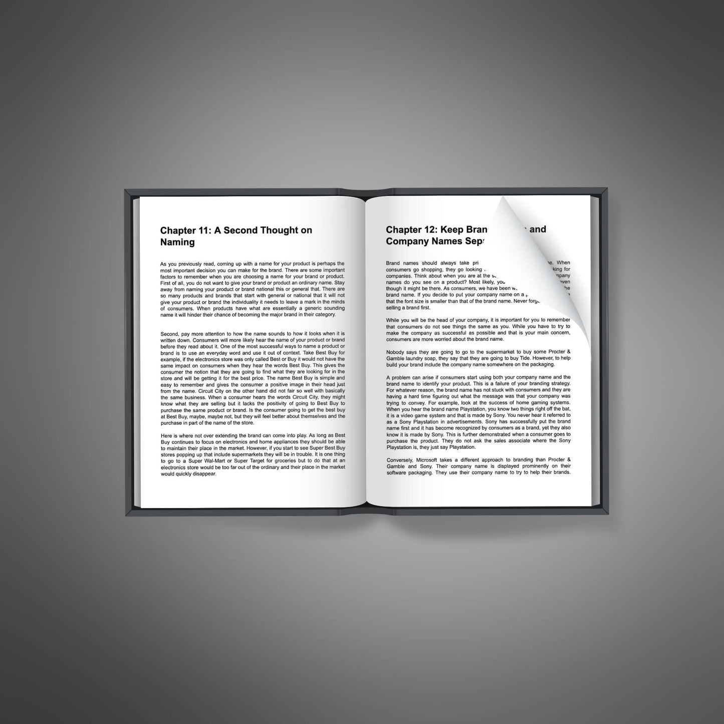 Essential Business Branding open pages mockup