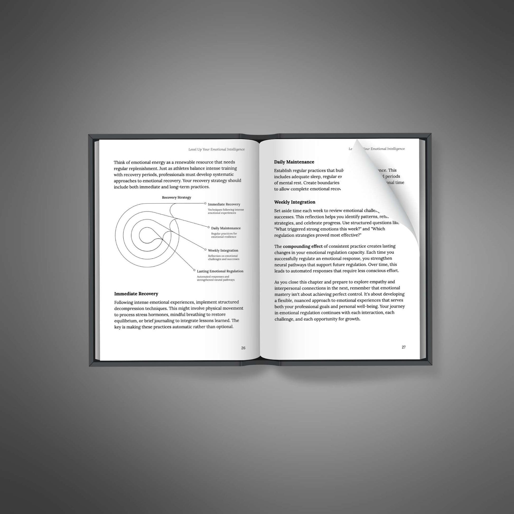 Ebook open pages with framework diagram