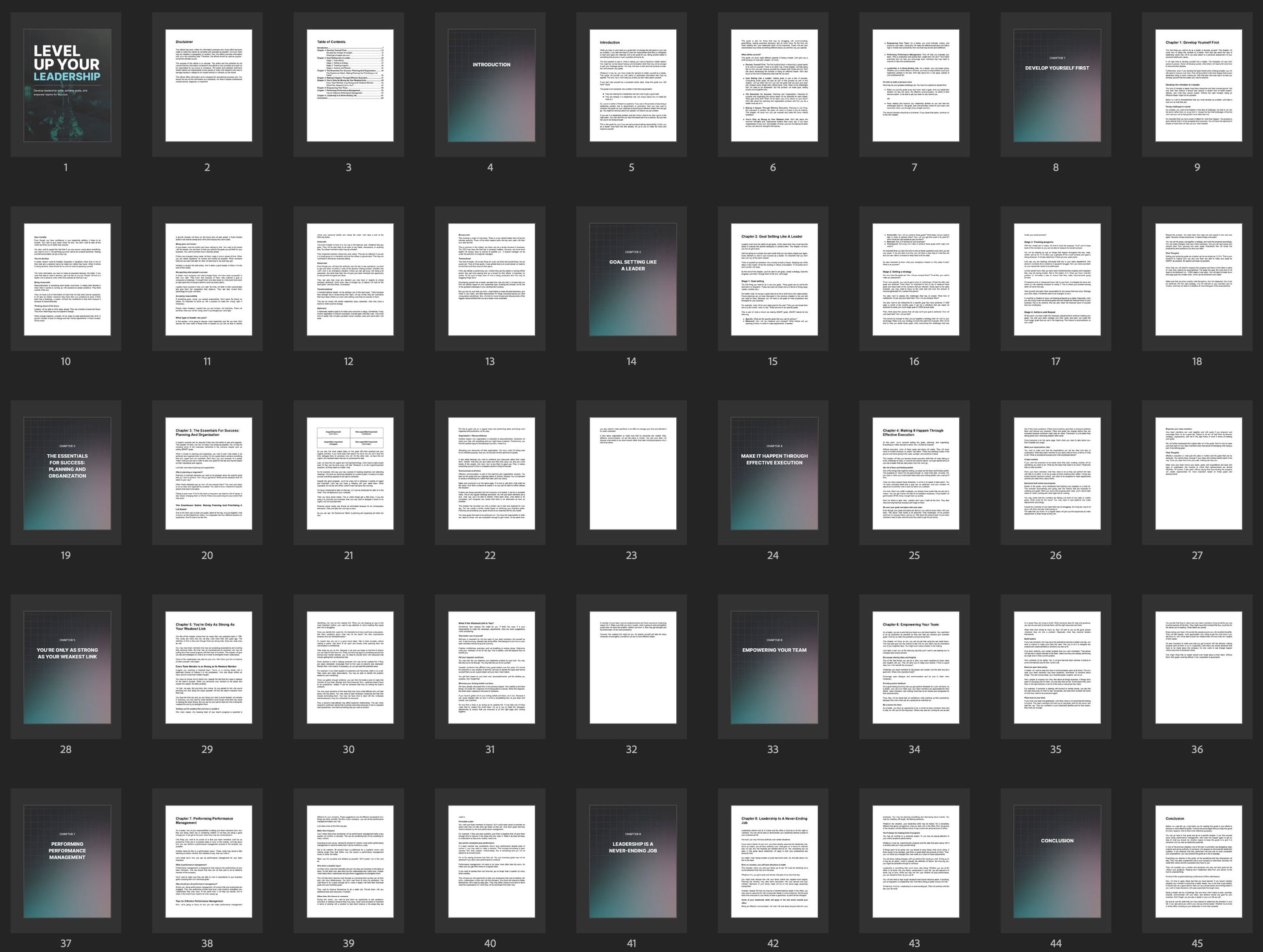 Level Up Your Leadership page thumbnails preview