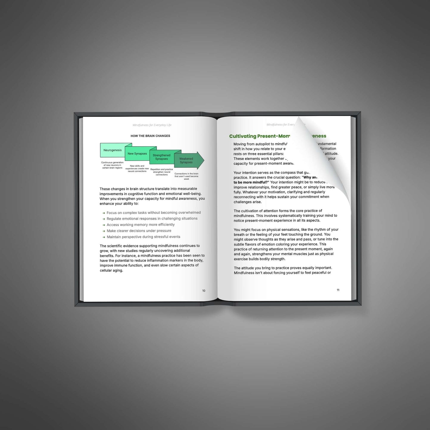 Mindfulness for Everyday Life inner pages open book mockup