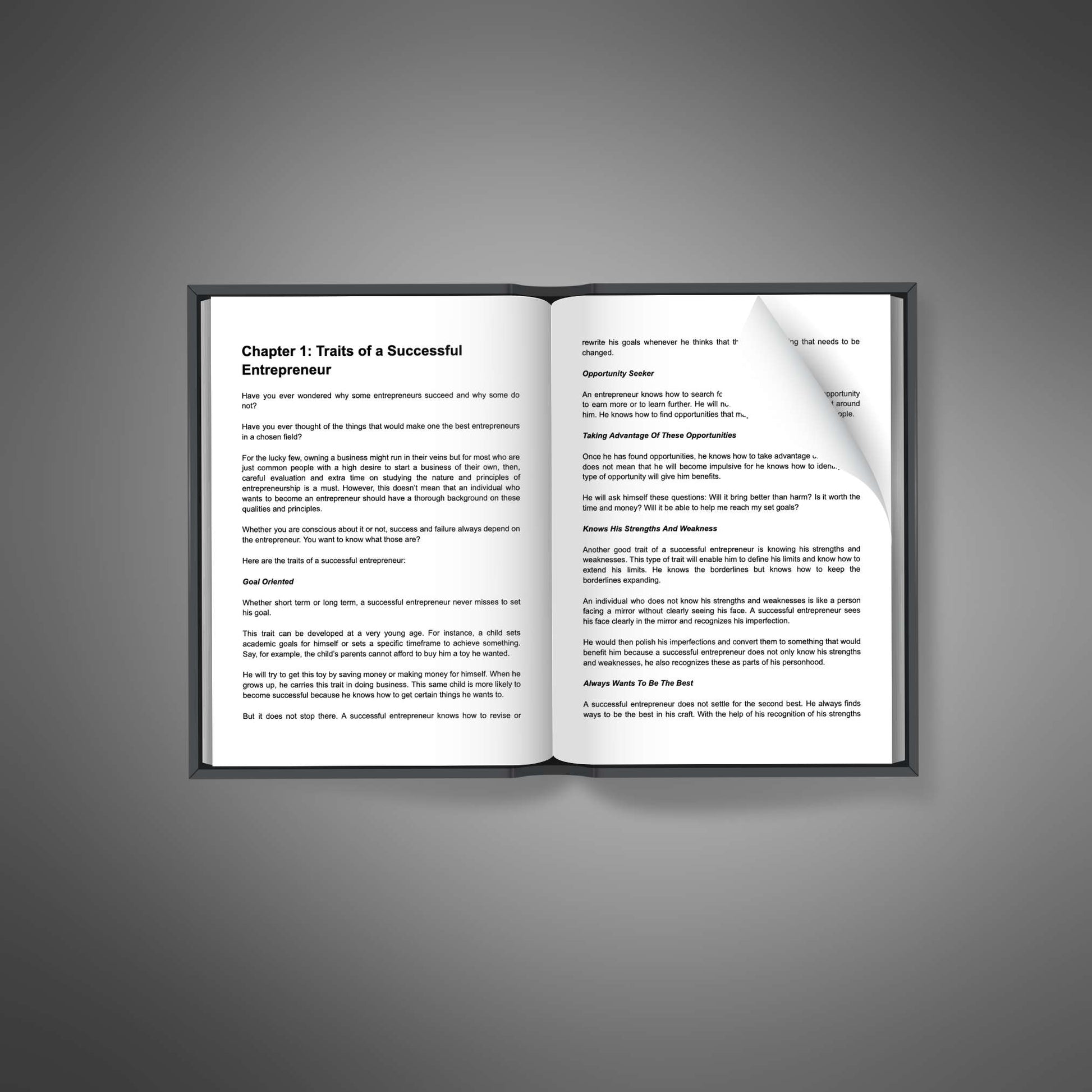 Preview of inside pages from the Powerful Entrepreneur ebook