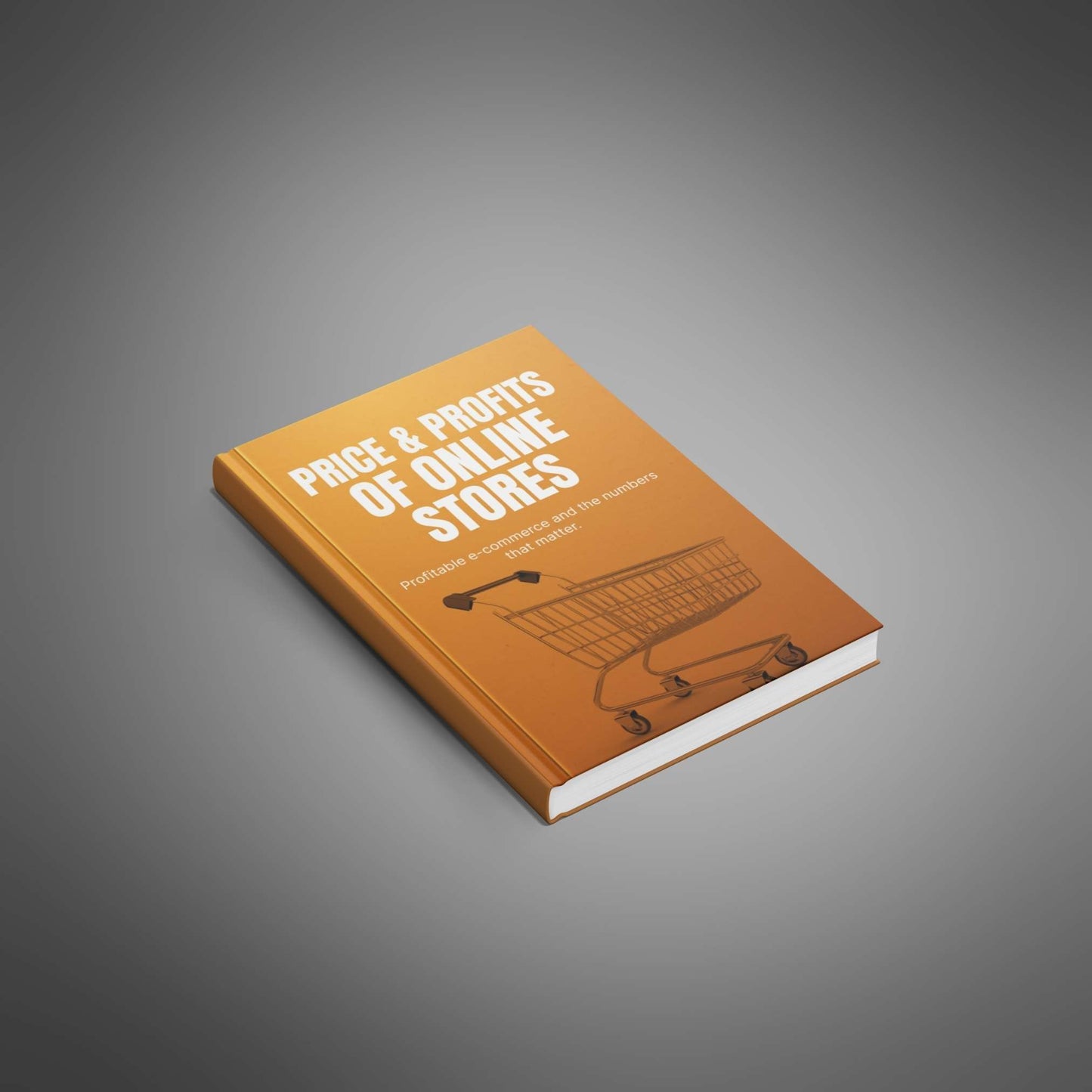 Price and Profits of Online Stores ebook mockup image 1