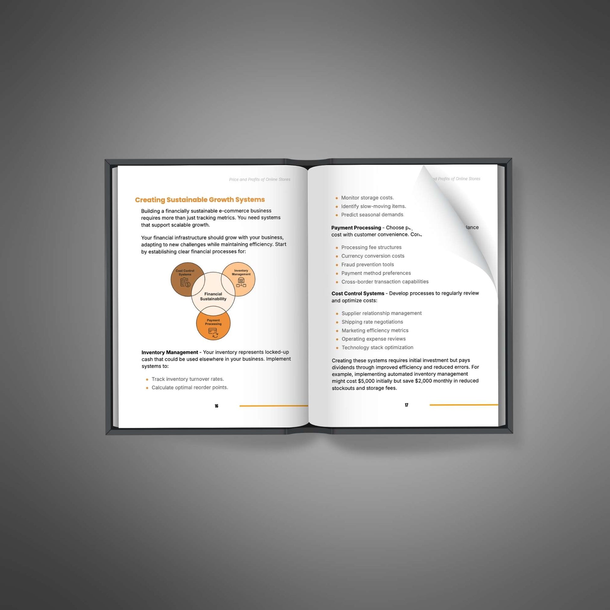 Price and Profits of Online Stores ebook mockup image 2