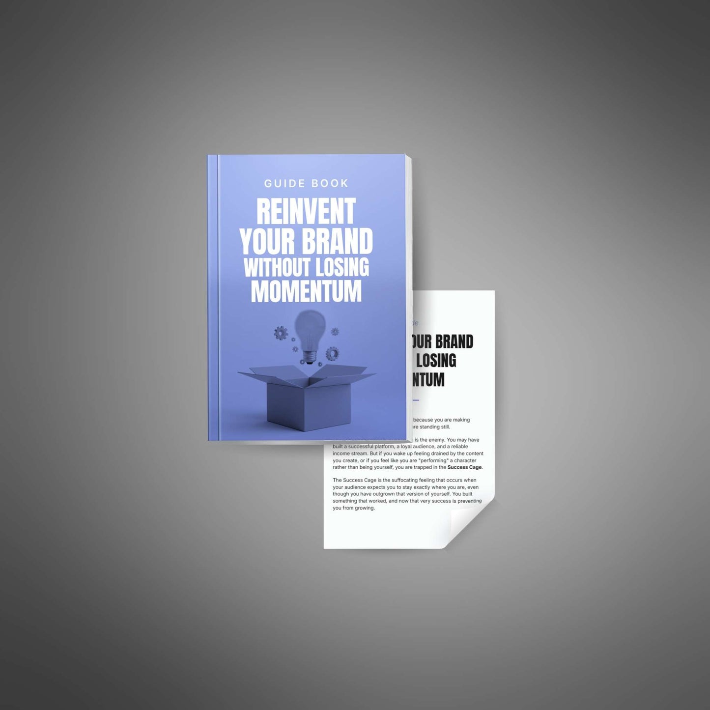 Reinvent Your Brand Without Losing Momentum Guide preview image 2