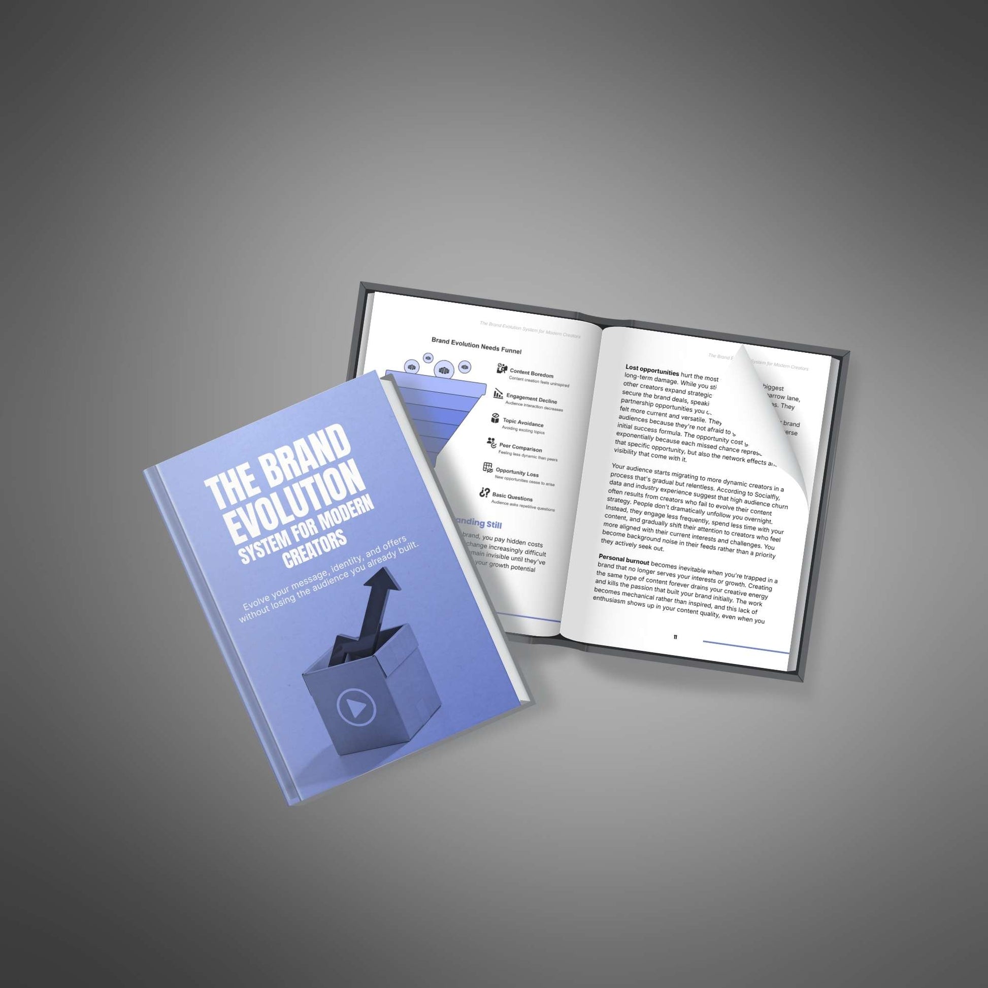 Brand Evolution System open book preview