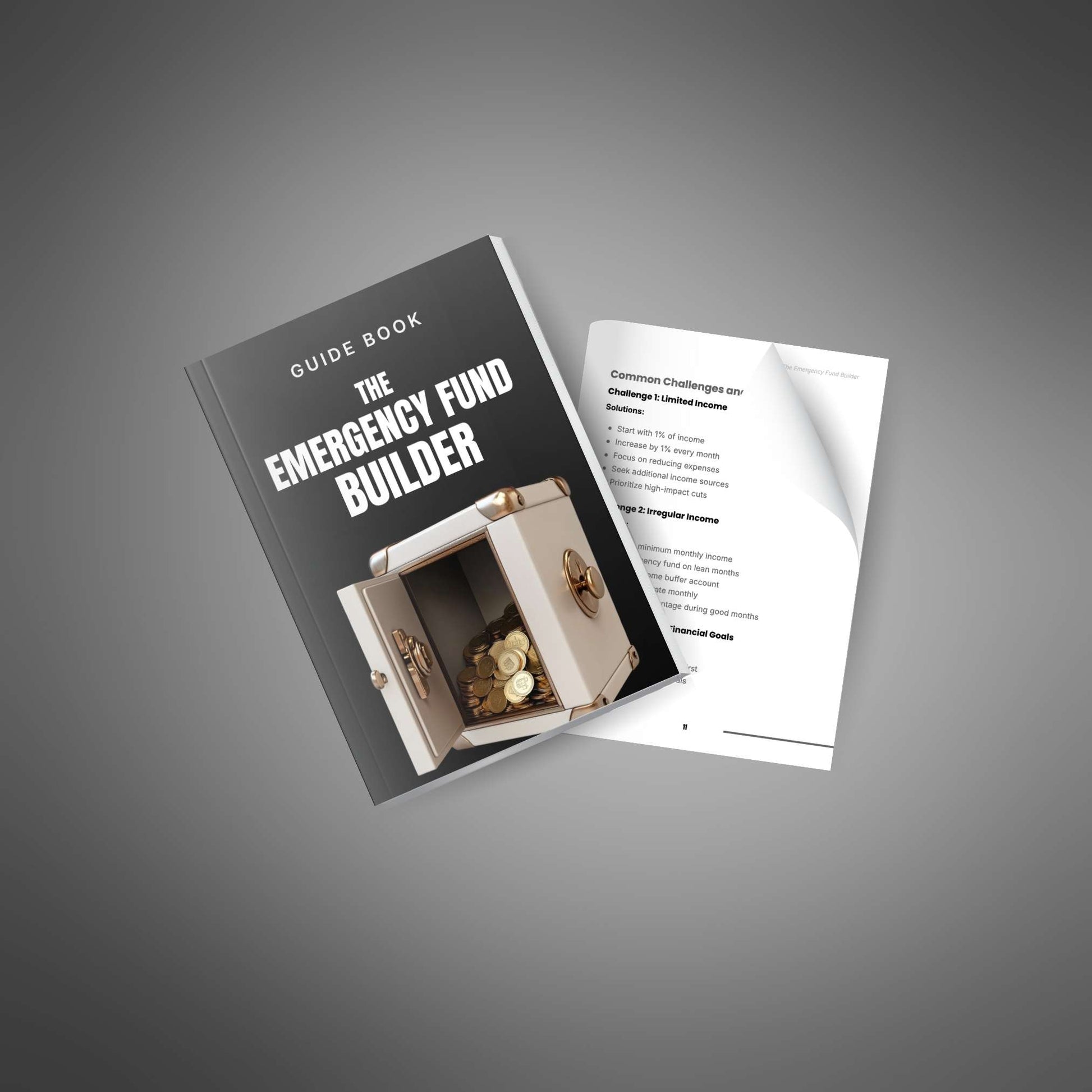 Emergency Fund Builder page preview