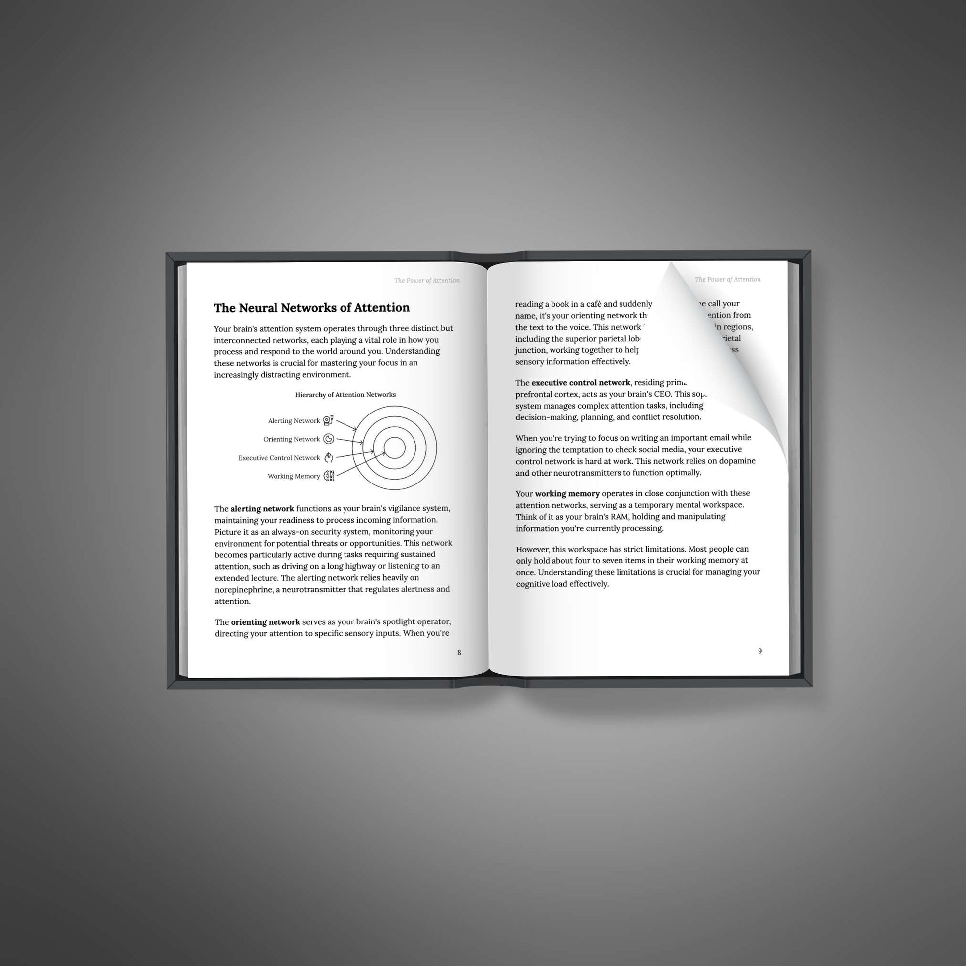 Inside pages: neural networks of attention