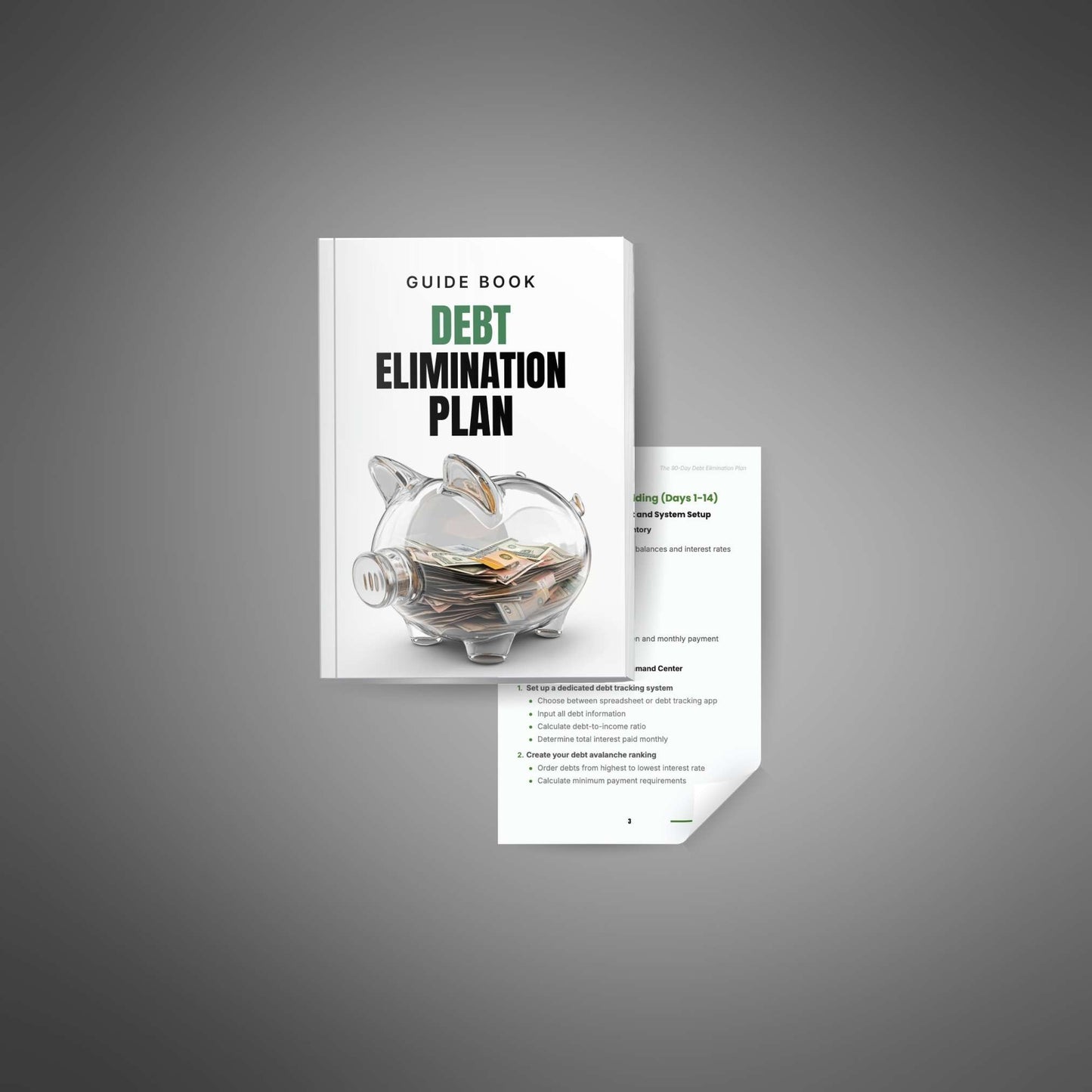 90-Day Debt Elimination Plan mockup image 2