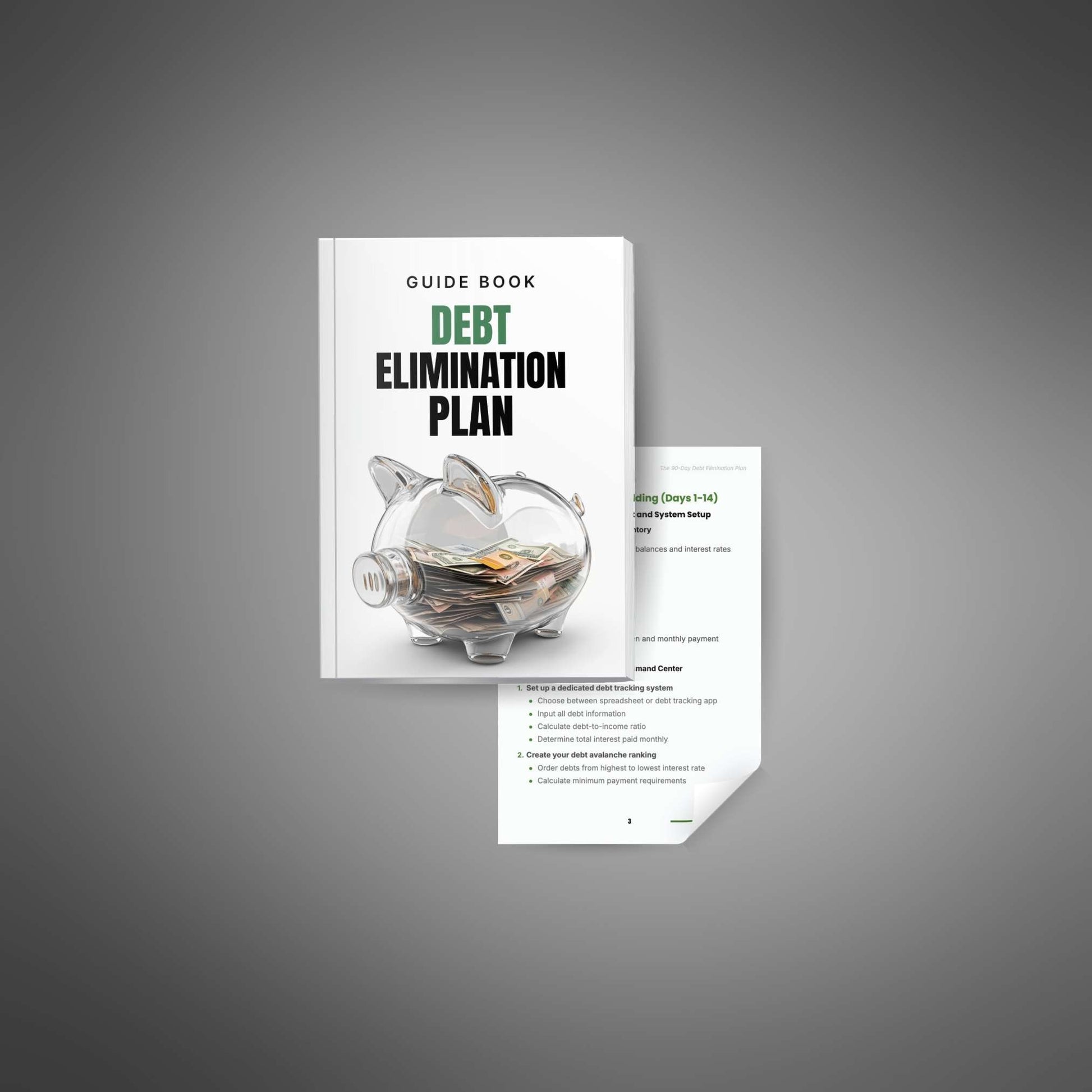 90-Day Debt Elimination Plan mockup image 2