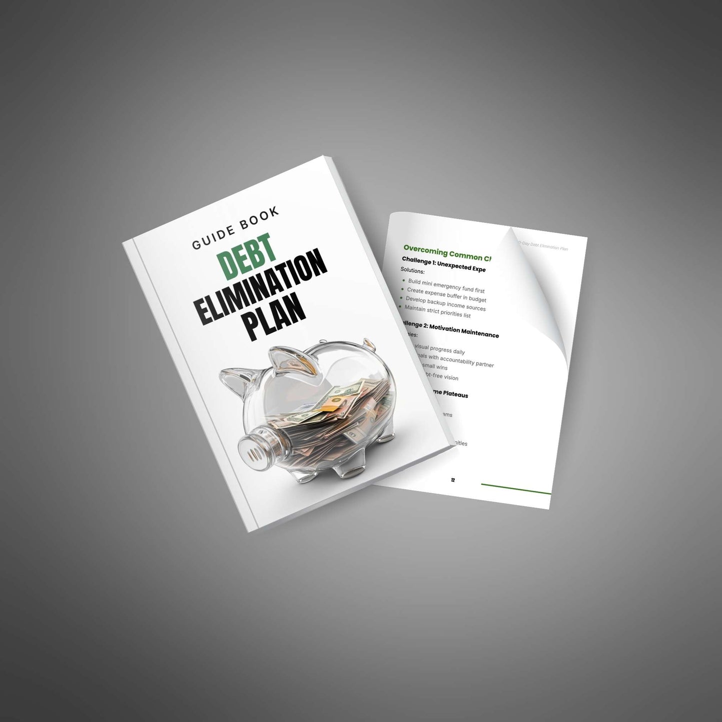 90-Day Debt Elimination Plan mockup image 4