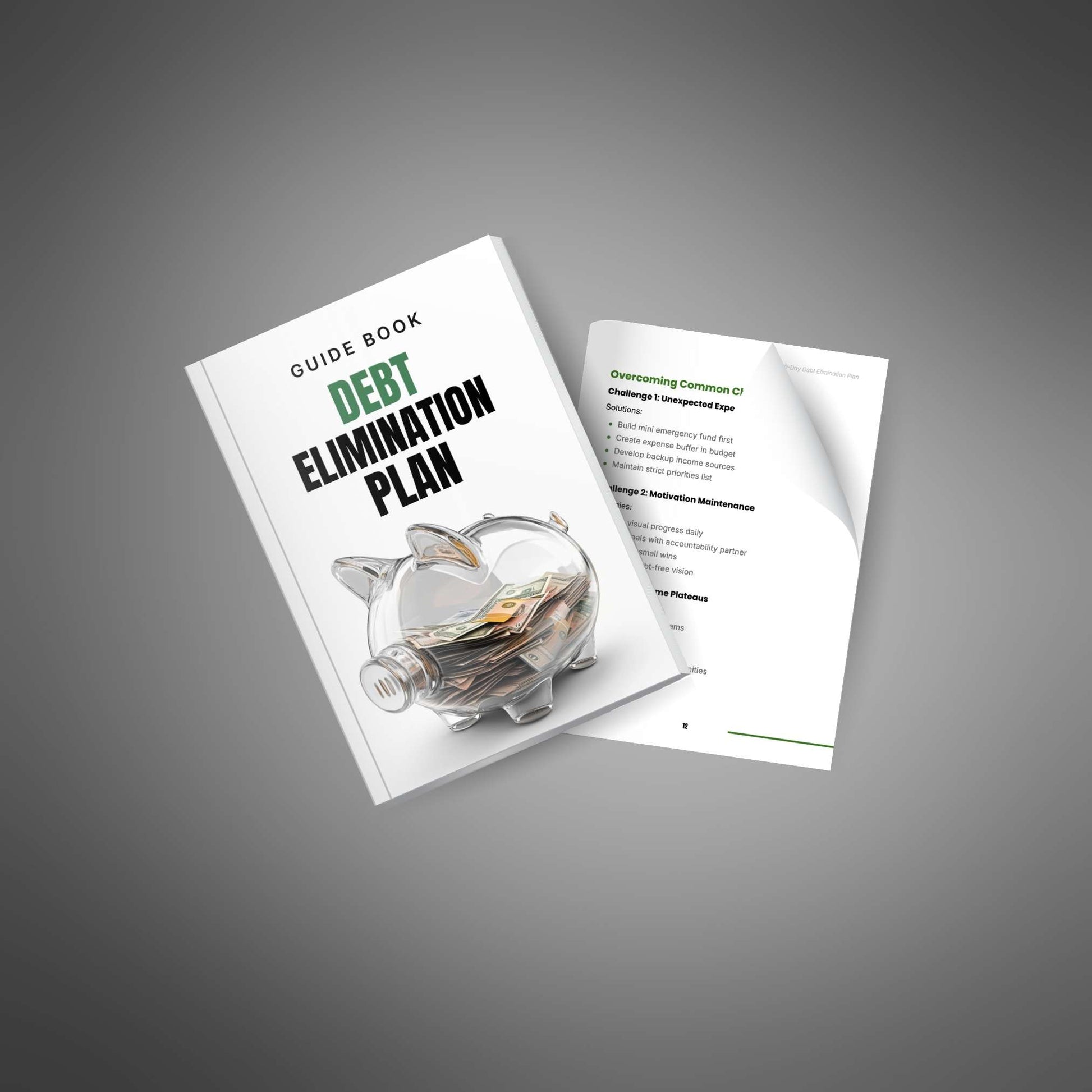 90-Day Debt Elimination Plan mockup image 4