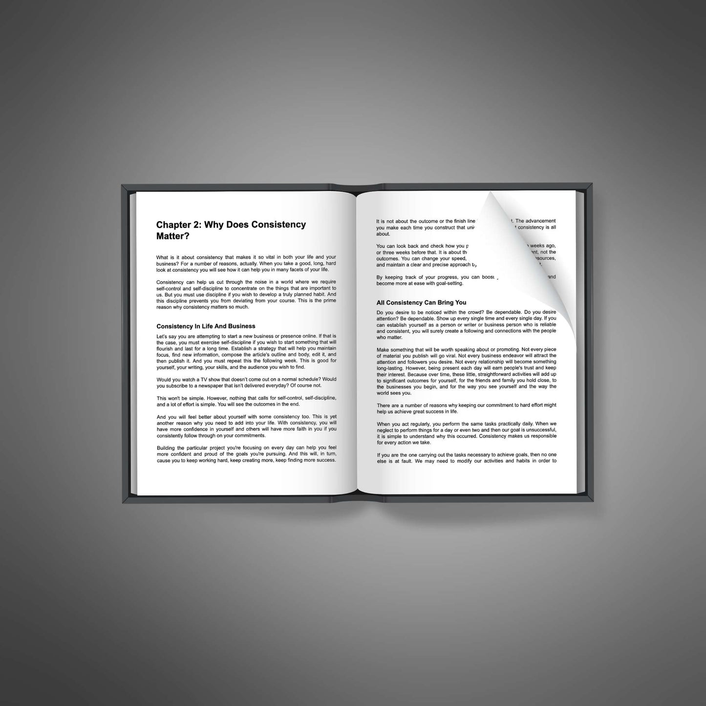 Habit-building and self-discipline guide mockup - The Art of Consistency