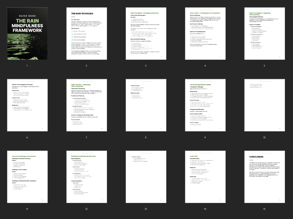 All pages overview of The RAIN Mindfulness Framework guide