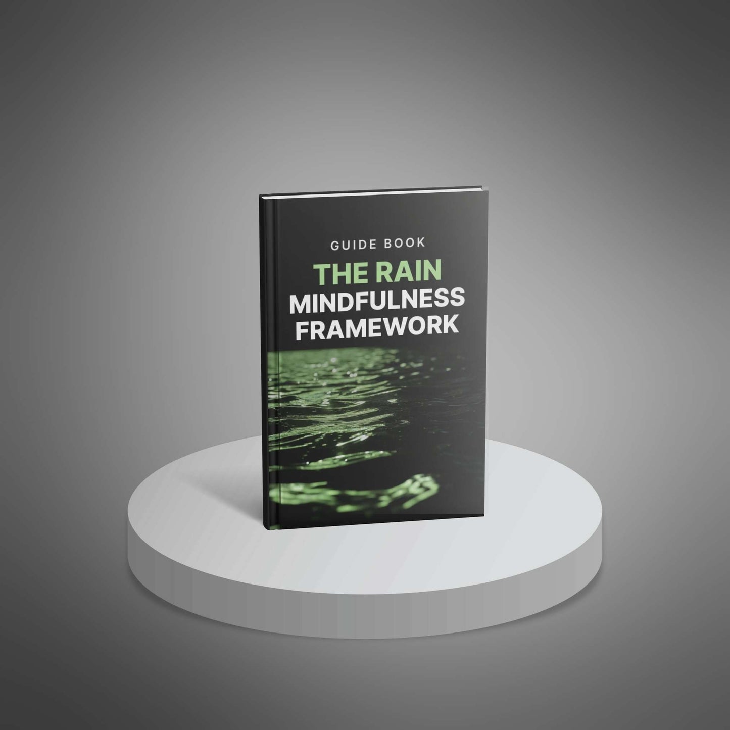 The RAIN Mindfulness Framework guidebook cover mockup