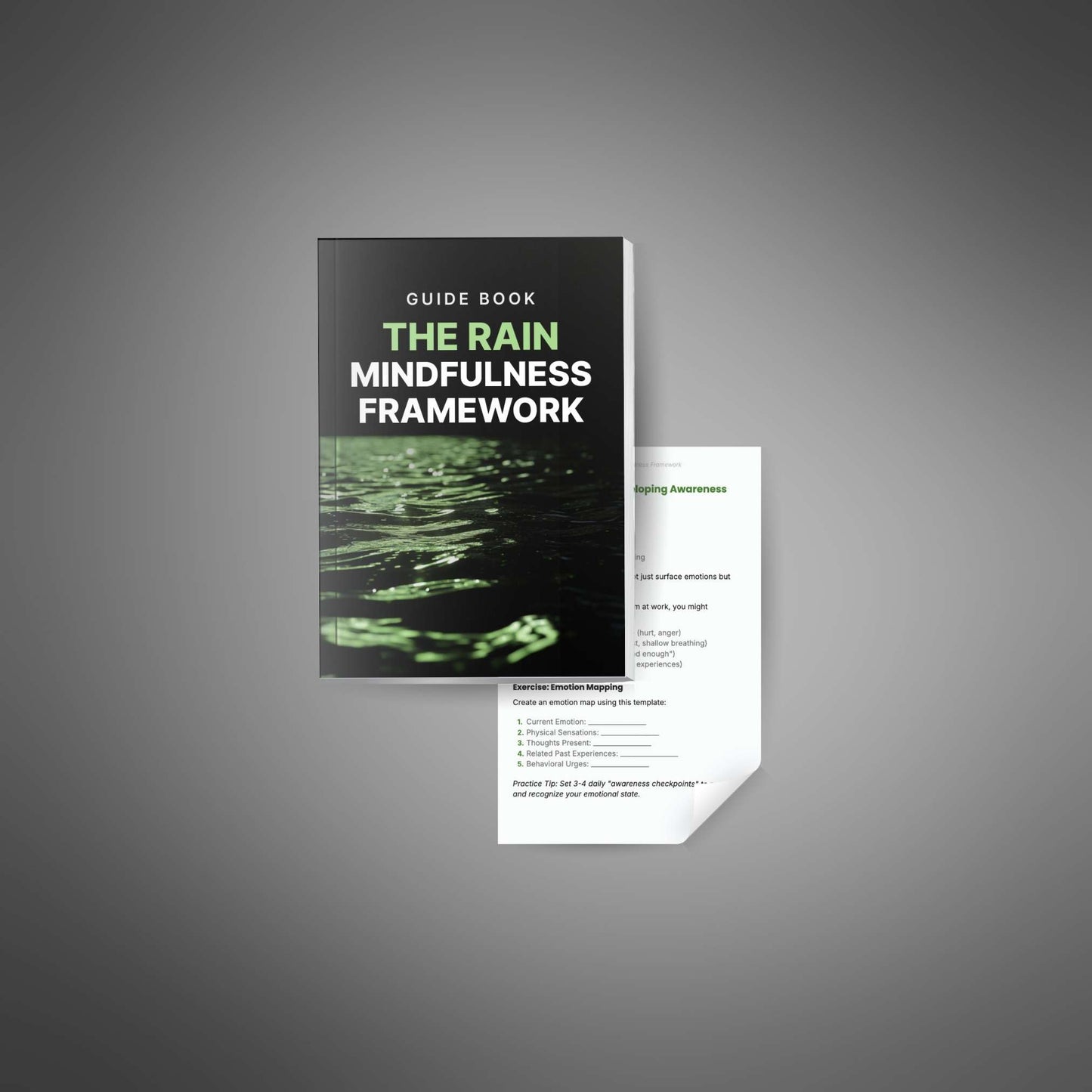 The RAIN Mindfulness Framework cover with inner page preview