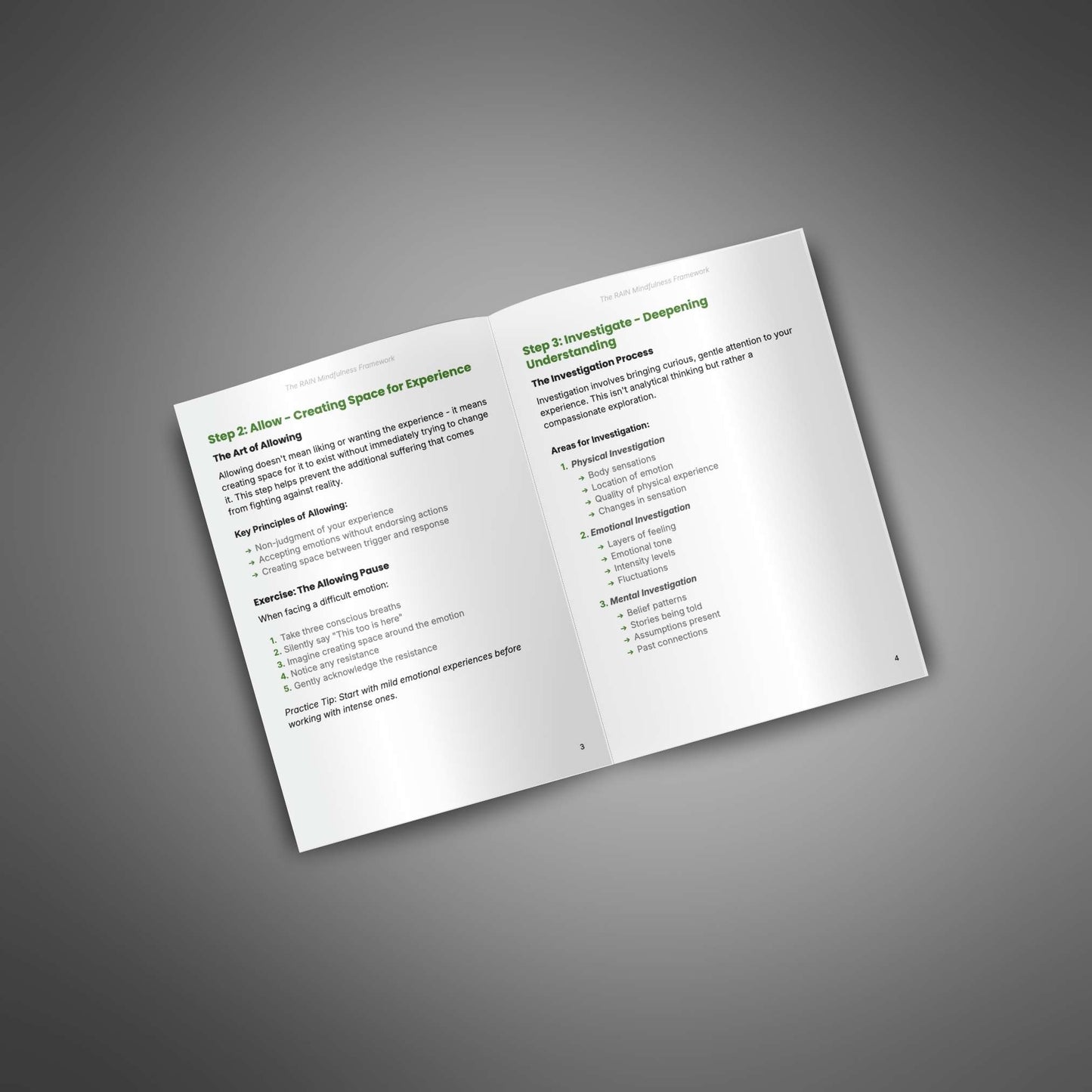 Open spread of The RAIN Mindfulness Framework guide