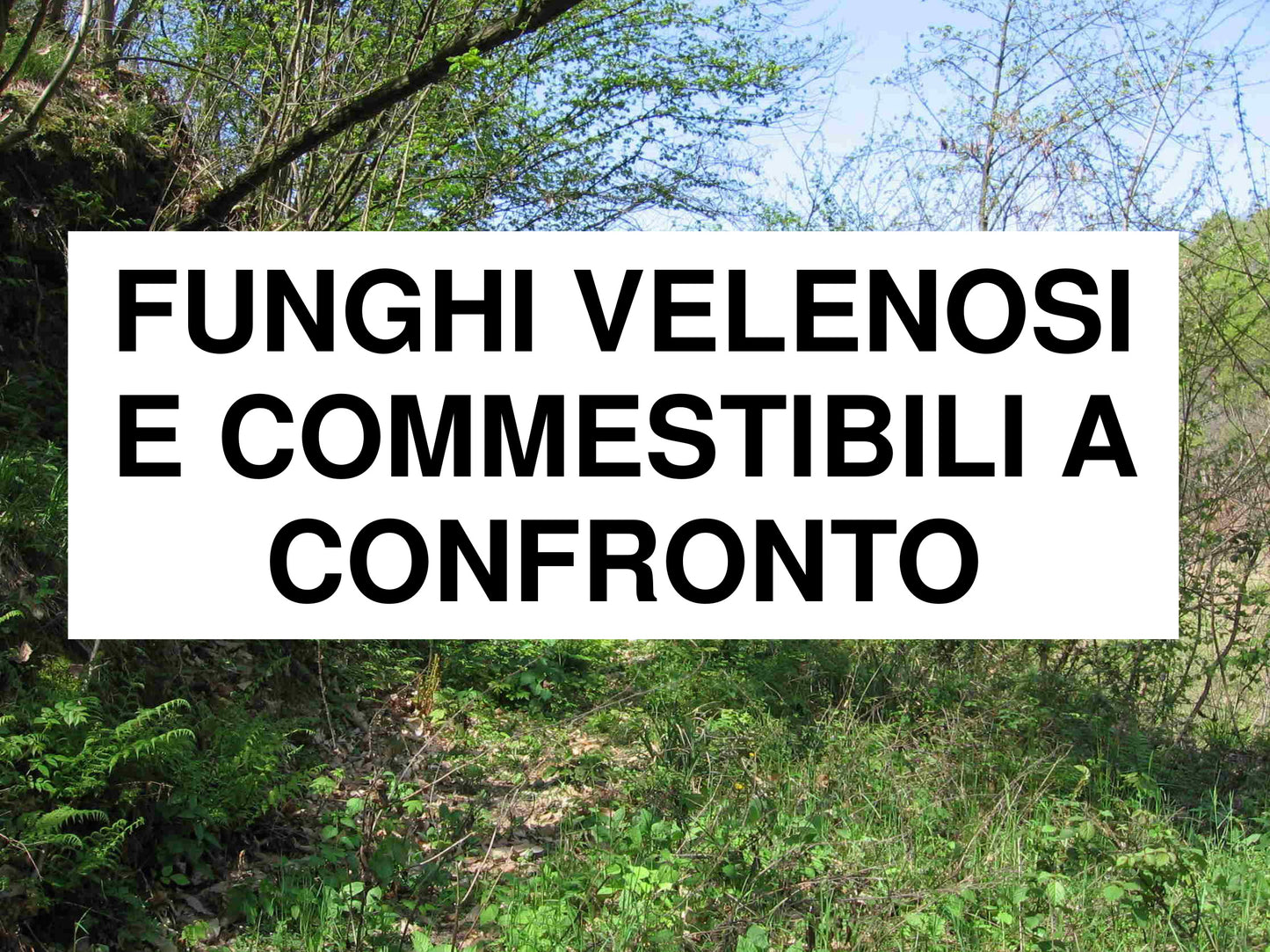 Funghi Velenosi e Commestibili a Confronto – Guida Fotografica (PDF)