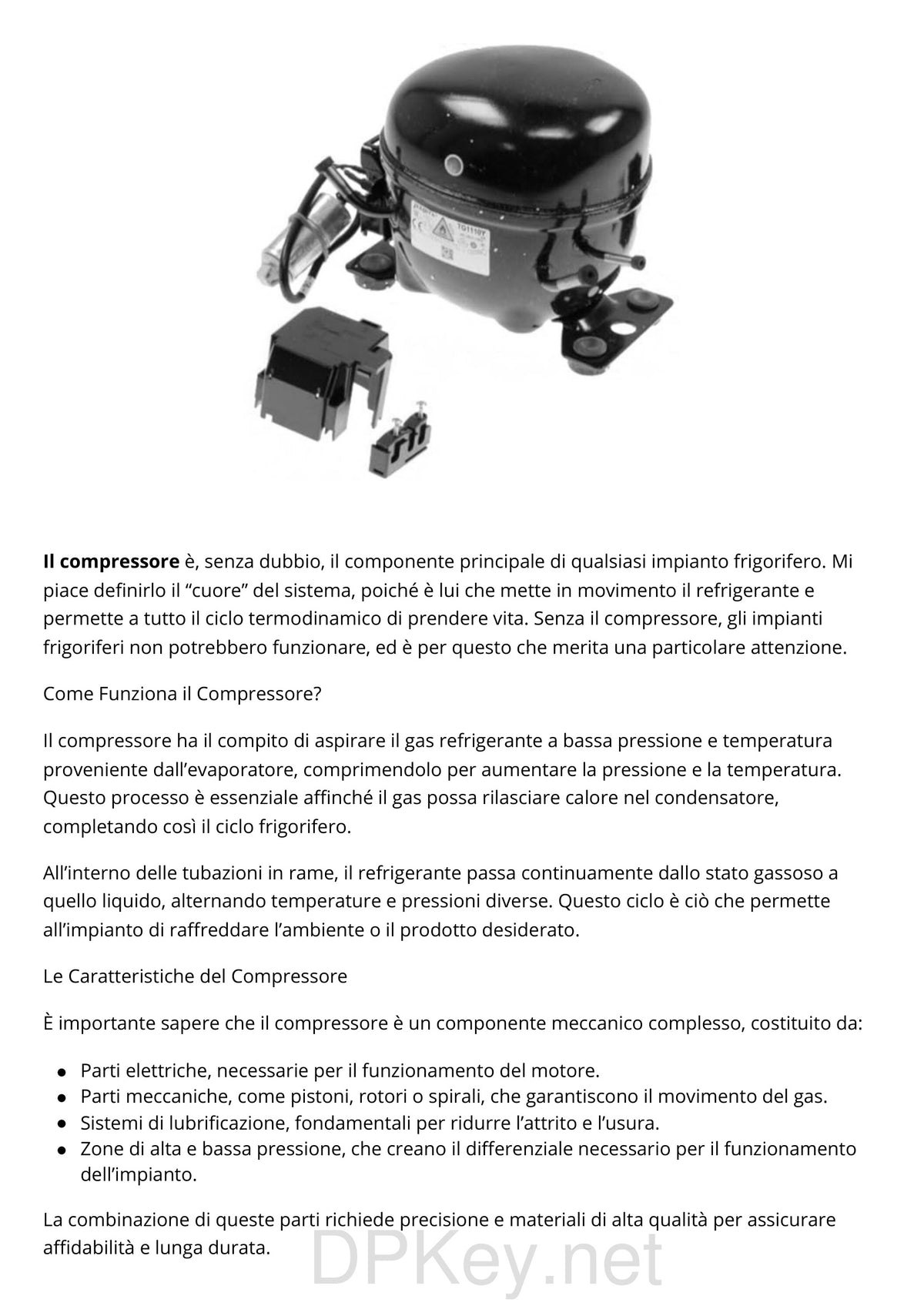 Anteprima contenuto: compressore frigorifero